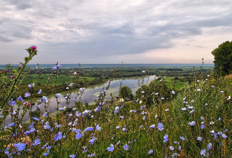 Село просторе