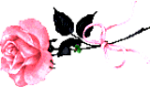 pic (21) (150x87, 14Kb)