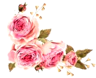 розовые светлые  